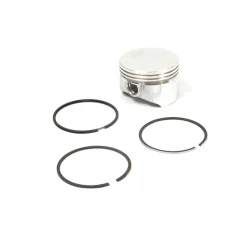 Briggs and Stratton 555660 Piston Assembly - Equipment Parts for Your Tool Power Engine Needs Outlet