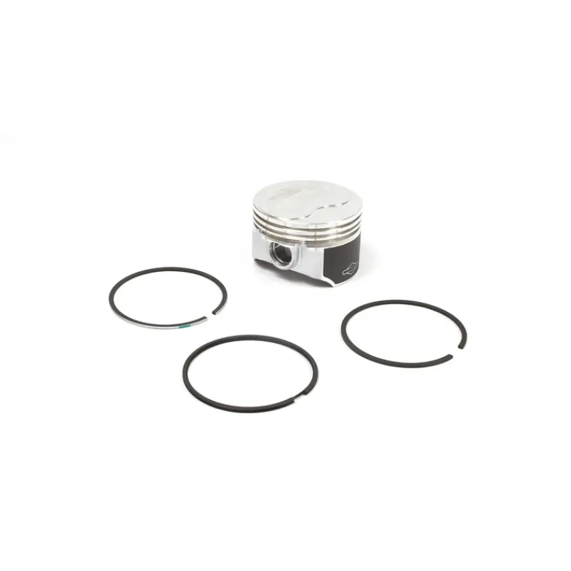 Briggs and Stratton 557123 Piston Assembly - .020 Oversized - Equipment Parts for Your Tool Power Engine Needs Cheap