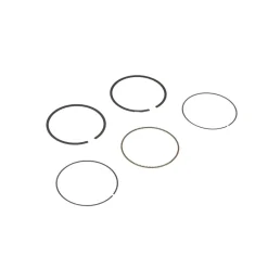 Briggs and Stratton 594437 Ring Set - Equipment Parts for Your Tool Power Engine Needs Hot