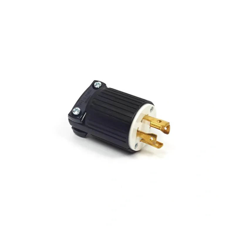 Briggs and Stratton 43438GS PLUG-120/240V TL30A - Equipment Parts for Your Tool Power Engine Needs Clearance