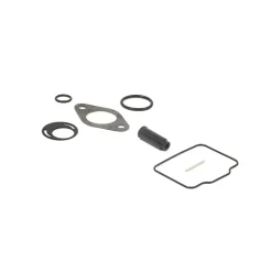 Briggs and Stratton 555605 Carburetor Overhaul Kit - Equipment Parts for Your Tool Power Engine Needs Store