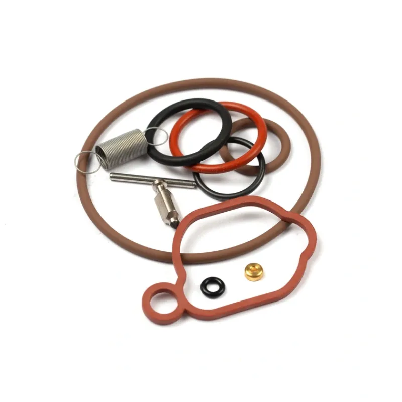 Briggs and Stratton 590589 Carburetor Overhaul Kit - Equipment Parts for Your Tool Power Engine Needs Fashion