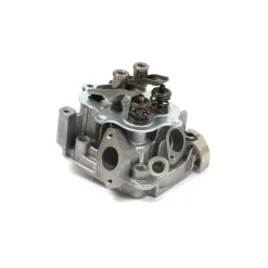 Briggs and Stratton 555635 Cylinder Head - Equipment Parts for Your Tool Power Engine Needs Online