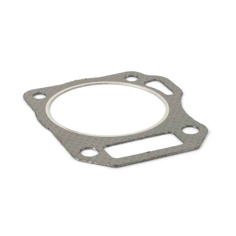 Briggs and Stratton 591445 Cylinder Head Gasket - Equipment Parts for Your Tool Power Engine Needs Fashion
