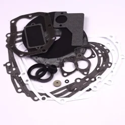 Briggs and Stratton 492653 Engine Gasket Set - Equipment Parts for Your Tool Power Engine Needs Clearance