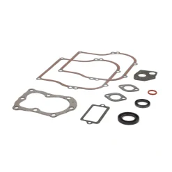 Briggs and Stratton 555210 Engine Gasket Set - Equipment Parts for Your Tool Power Engine Needs Outlet