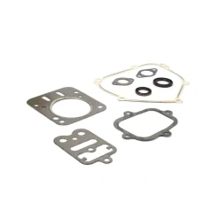 Briggs and Stratton 557110 Engine Gasket Set - Equipment Parts for Your Tool Power Engine Needs Best Sale