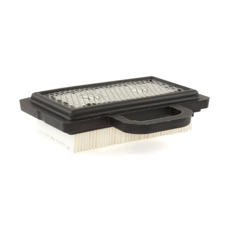 Briggs and Stratton 4268 FILTER (5 X 792101) - Equipment Parts for Your Tool Power Engine Needs Hot