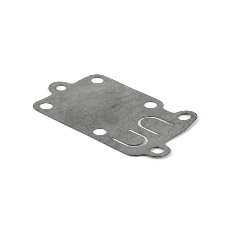 Briggs and Stratton 4168 Gasket (5 x 272538S) - Equipment Parts for Your Tool Power Engine Needs Cheap