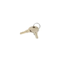 Briggs and Stratton 314290GS Latch Key - Equipment Parts for Your Tool Power Engine Needs Best