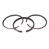 Briggs and Stratton 298174 Ring Set - Equipment Parts for Your Tool Power Engine Needs Discount