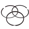 Briggs and Stratton 299690 Ring Set - Equipment Parts for Your Tool Power Engine Needs Sale