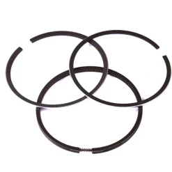 Briggs and Stratton 299690 Ring Set - Equipment Parts for Your Tool Power Engine Needs Sale