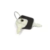 Briggs and Stratton 1717163SM Ignition Key - Equipment Parts for Your Tool Power Engine Needs Cheap