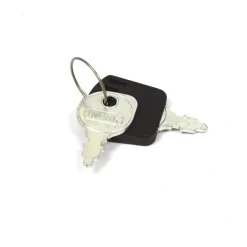 Briggs and Stratton 1717163SM Ignition Key - Equipment Parts for Your Tool Power Engine Needs Cheap
